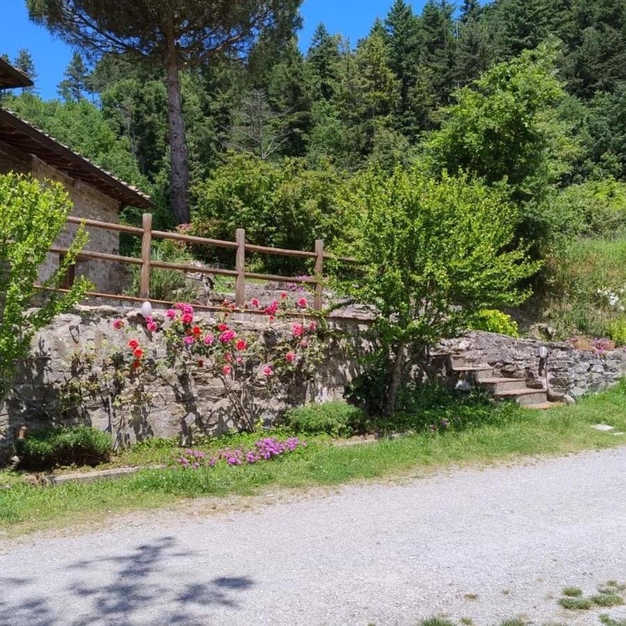 Fattoria Di Cintoia Villa ปอนตาสซิเอเว ภายนอก รูปภาพ