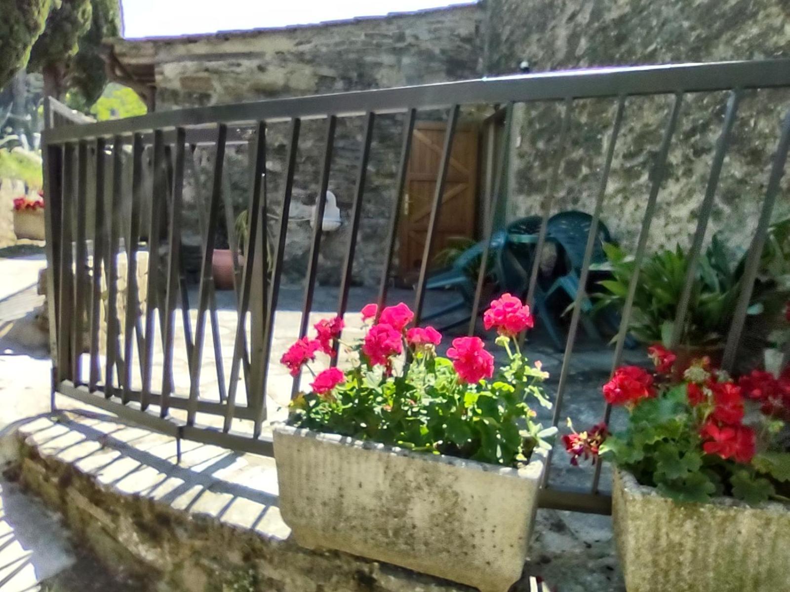 Fattoria Di Cintoia Villa ปอนตาสซิเอเว ภายนอก รูปภาพ