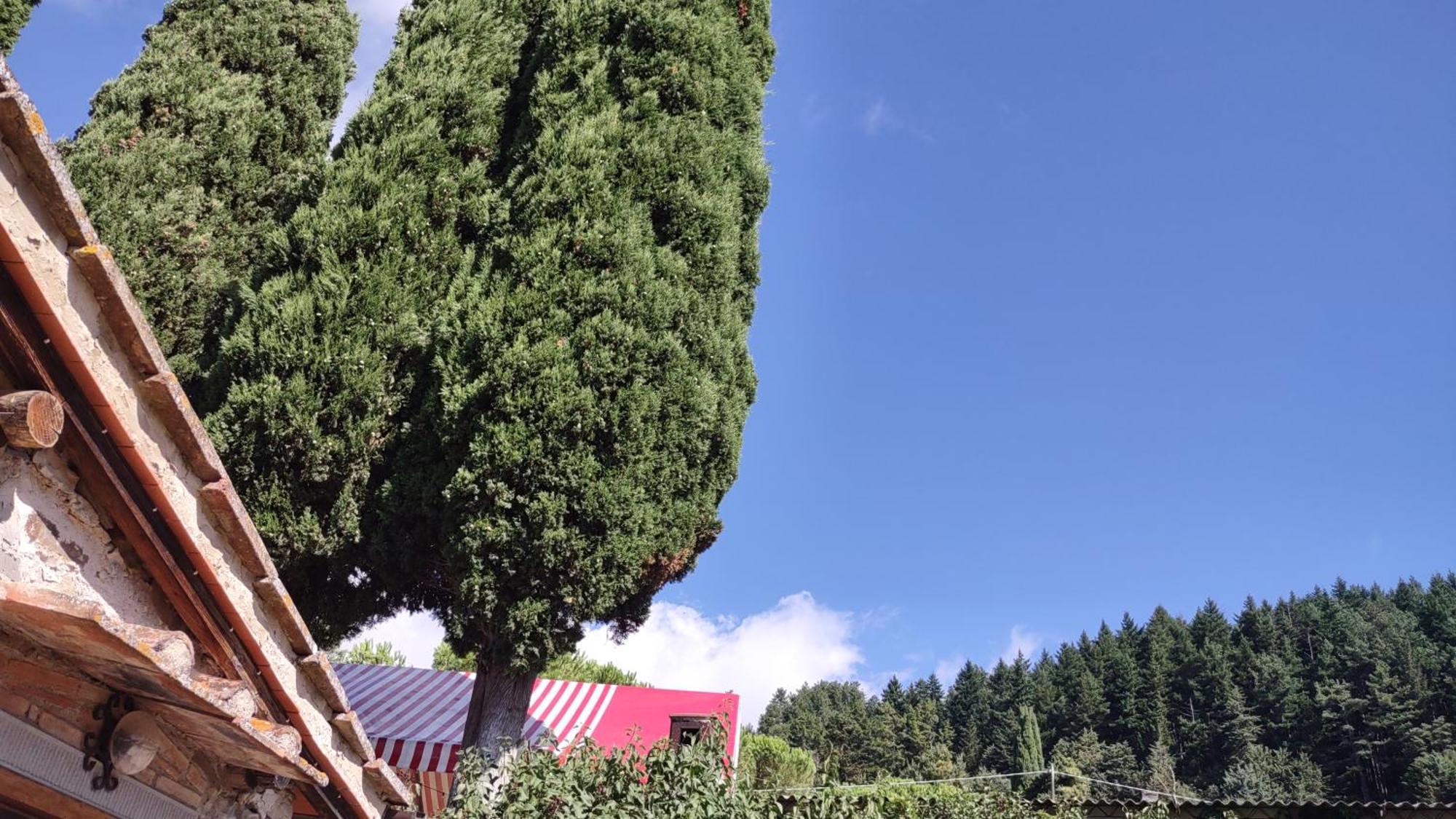 Fattoria Di Cintoia Villa ปอนตาสซิเอเว ภายนอก รูปภาพ